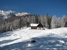 Klik za večjo sliko